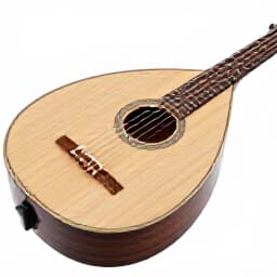 Live Mediterranean music performance with traditional instruments at an event in San Francisco. Musicians creating a vibrant atmosphere, part of Beluga